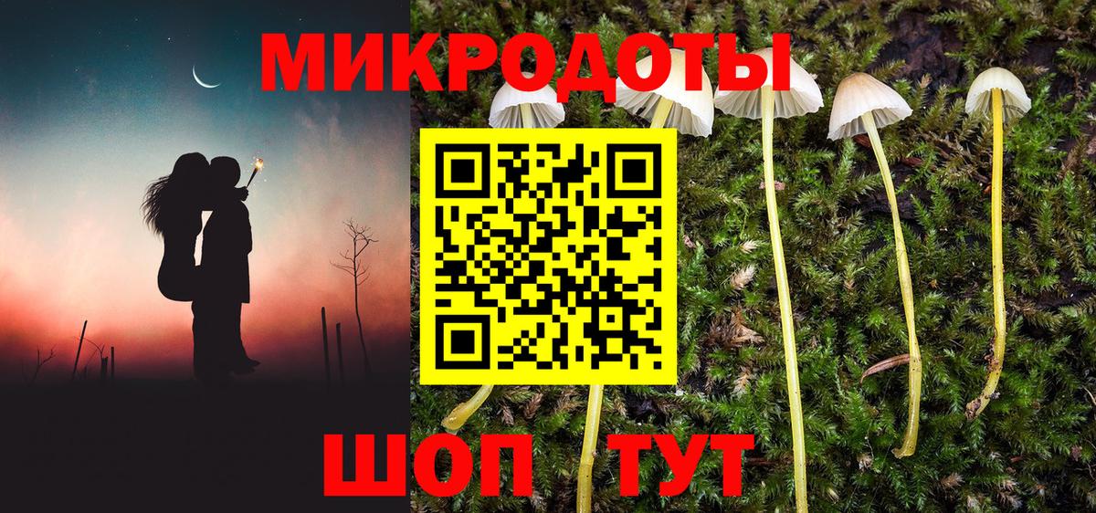 Галлюциногенные грибы Cubensis Медногорск