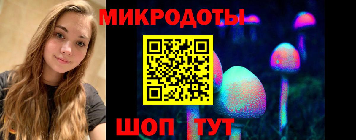 Псилоцибиновые грибы Psilocybine cubensis  Вход с VPN  Медногорск 